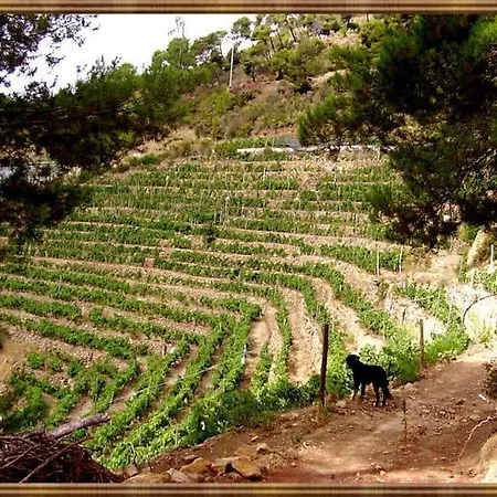 Ξενοδοχείο Dell'orto